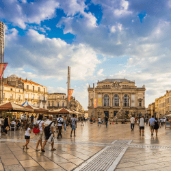 Montpellier - Montpellier